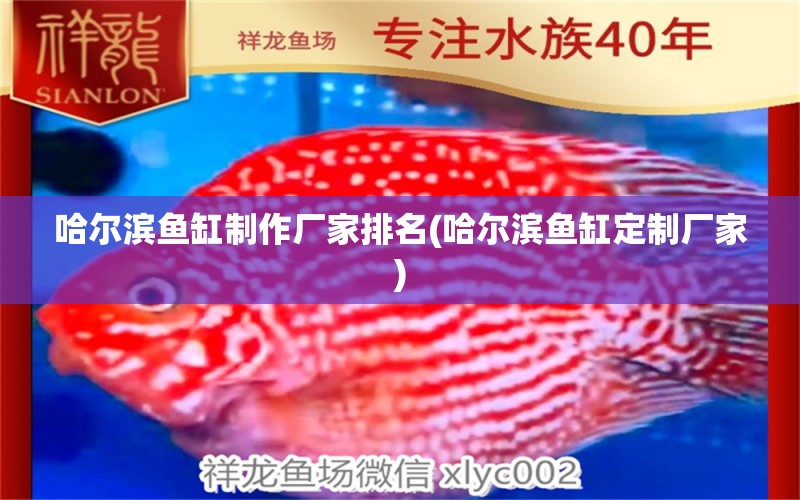 哈爾濱魚缸制作廠家排名(哈爾濱魚缸定制廠家) 紅化白子銀龍