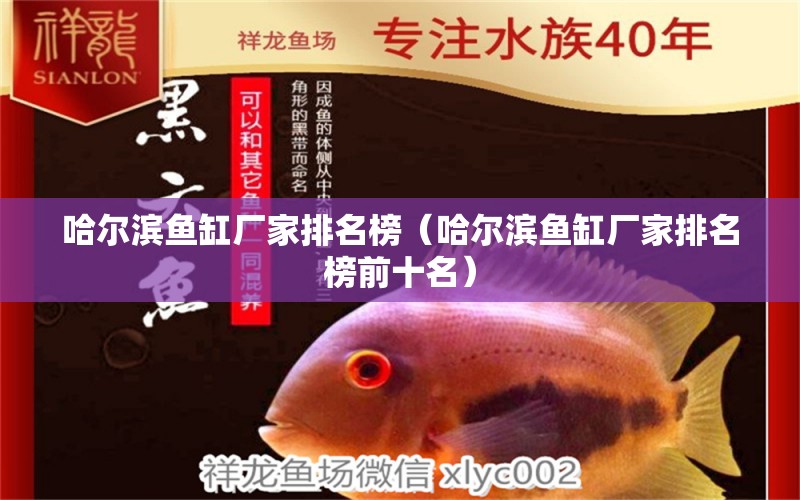 哈爾濱魚缸廠家排名榜（哈爾濱魚缸廠家排名榜前十名）