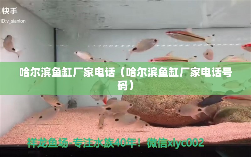 哈爾濱魚(yú)缸廠家電話(huà)（哈爾濱魚(yú)缸廠家電話(huà)號(hào)碼）