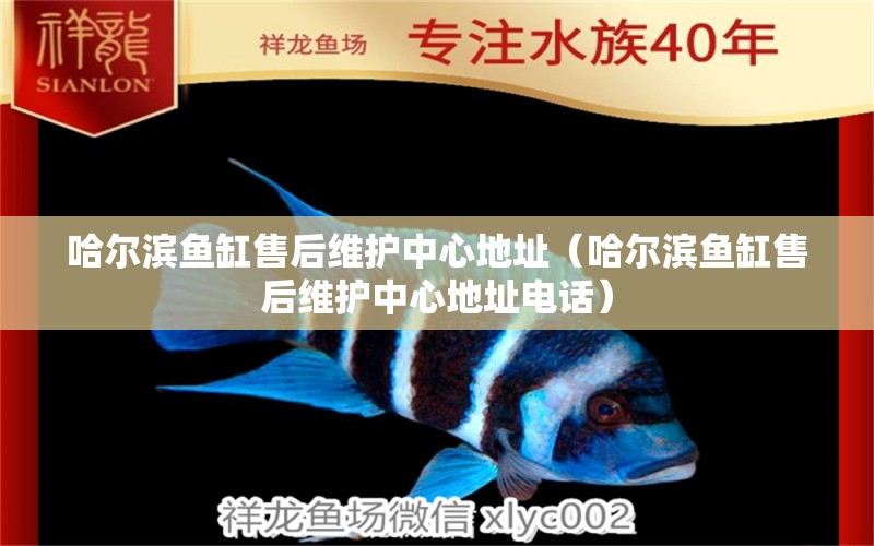 哈爾濱魚(yú)缸售后維護(hù)中心地址（哈爾濱魚(yú)缸售后維護(hù)中心地址電話）