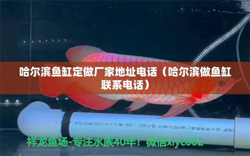 哈爾濱魚缸定做廠家地址電話（哈爾濱做魚缸聯(lián)系電話）