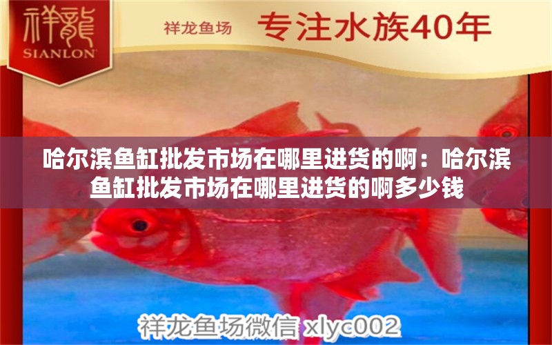 哈爾濱魚缸批發(fā)市場在哪里進貨的啊：哈爾濱魚缸批發(fā)市場在哪里進貨的啊多少錢