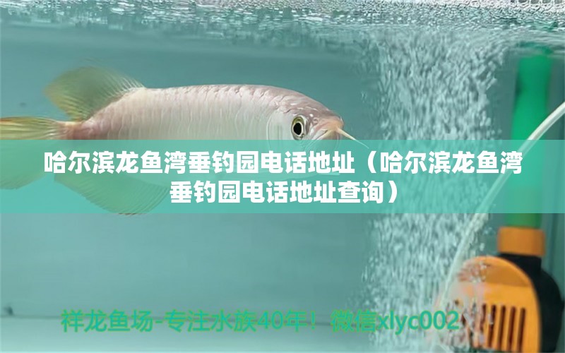 哈爾濱龍魚灣垂釣園電話地址（哈爾濱龍魚灣垂釣園電話地址查詢）