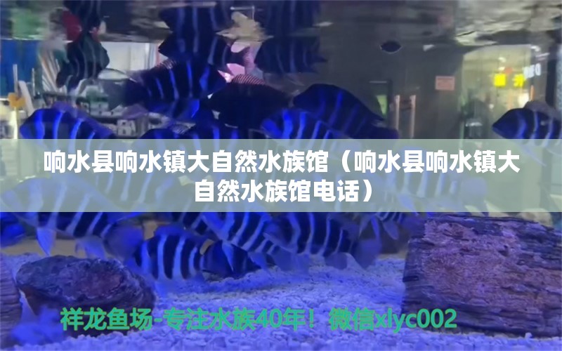 響水縣響水鎮(zhèn)大自然水族館（響水縣響水鎮(zhèn)大自然水族館電話）