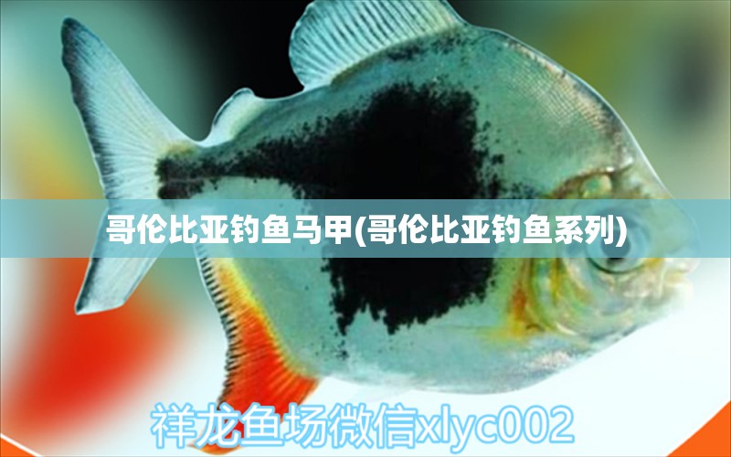 哥倫比亞釣魚馬甲(哥倫比亞釣魚系列) 垂釣樂園