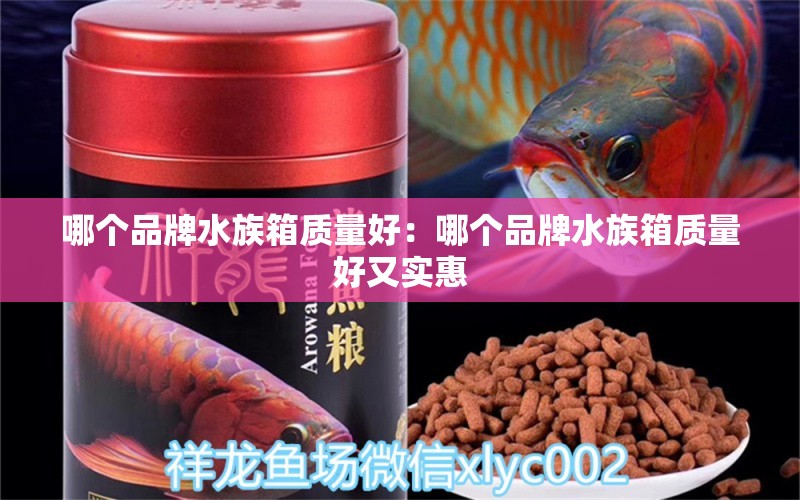 哪個(gè)品牌水族箱質(zhì)量好：哪個(gè)品牌水族箱質(zhì)量好又實(shí)惠