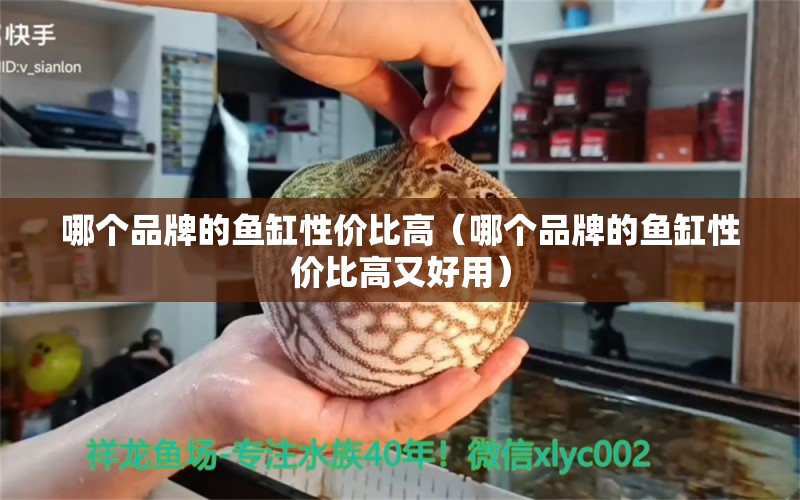 哪個品牌的魚缸性價比高（哪個品牌的魚缸性價比高又好用）