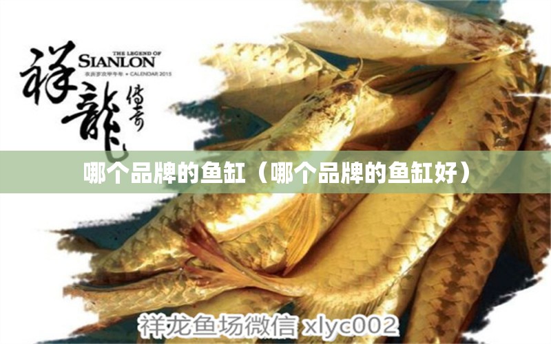 哪個品牌的魚缸（哪個品牌的魚缸好）