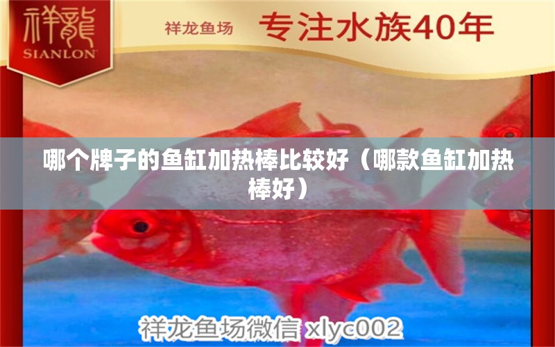 哪個牌子的魚缸加熱棒比較好（哪款魚缸加熱棒好） 黑云魚 第1張