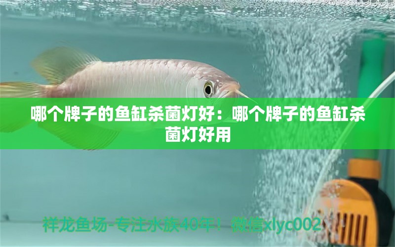 哪個牌子的魚缸殺菌燈好：哪個牌子的魚缸殺菌燈好用