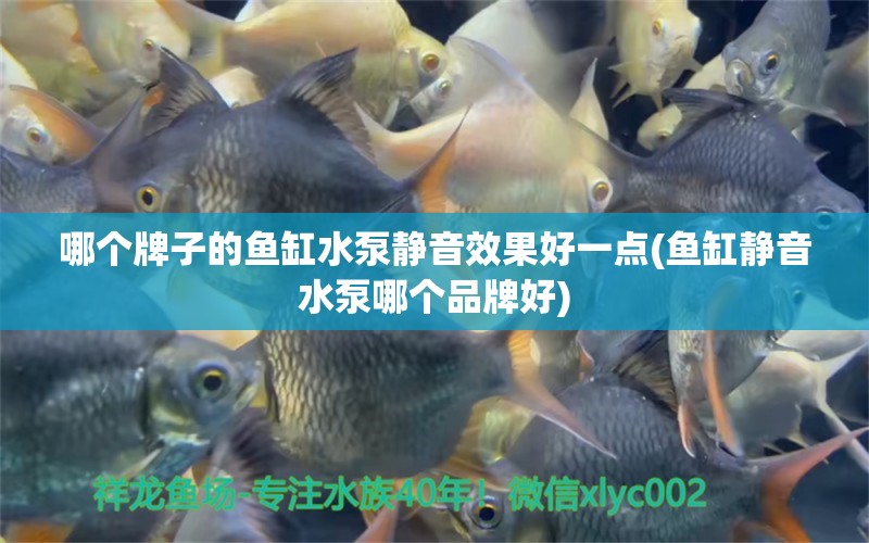 哪個牌子的魚缸水泵靜音效果好一點(魚缸靜音水泵哪個品牌好)