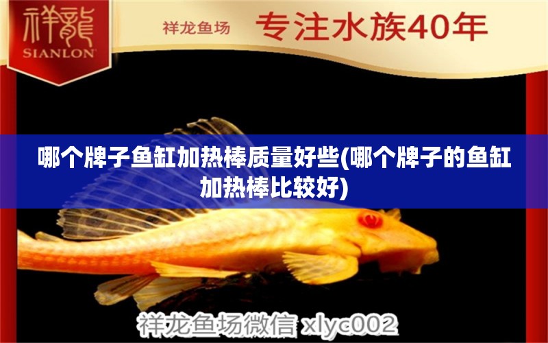 哪個牌子魚缸加熱棒質(zhì)量好些(哪個牌子的魚缸加熱棒比較好) 過濾設(shè)備 第1張