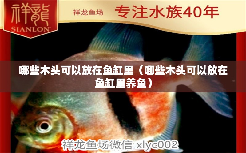 哪些木頭可以放在魚(yú)缸里（哪些木頭可以放在魚(yú)缸里養(yǎng)魚(yú)） 其他品牌魚(yú)缸