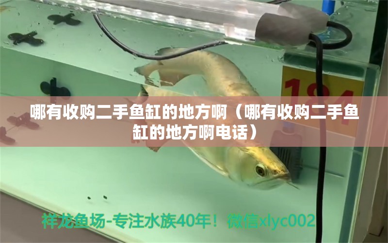 哪有收購(gòu)二手魚(yú)缸的地方?。挠惺召?gòu)二手魚(yú)缸的地方啊電話）