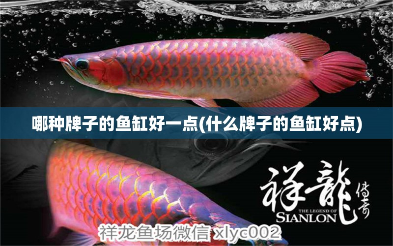 哪種牌子的魚缸好一點(diǎn)(什么牌子的魚缸好點(diǎn)) 養(yǎng)魚的好處 第1張