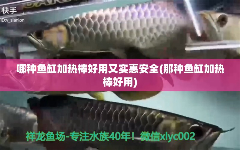 哪種魚(yú)缸加熱棒好用又實(shí)惠安全(那種魚(yú)缸加熱棒好用) 黃金鴨嘴魚(yú) 第1張