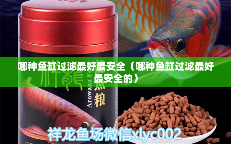 哪種魚缸過濾最好最安全（哪種魚缸過濾最好最安全的） 水族維護(hù)服務(wù)（上門）