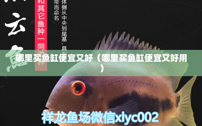 哪里買魚缸便宜又好（哪里買魚缸便宜又好用） 祥龍水族醫(yī)院