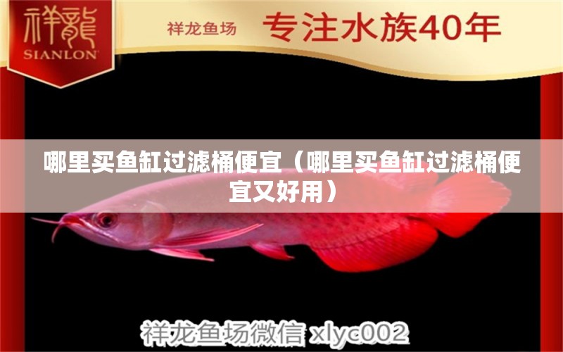 哪里買魚缸過濾桶便宜（哪里買魚缸過濾桶便宜又好用）