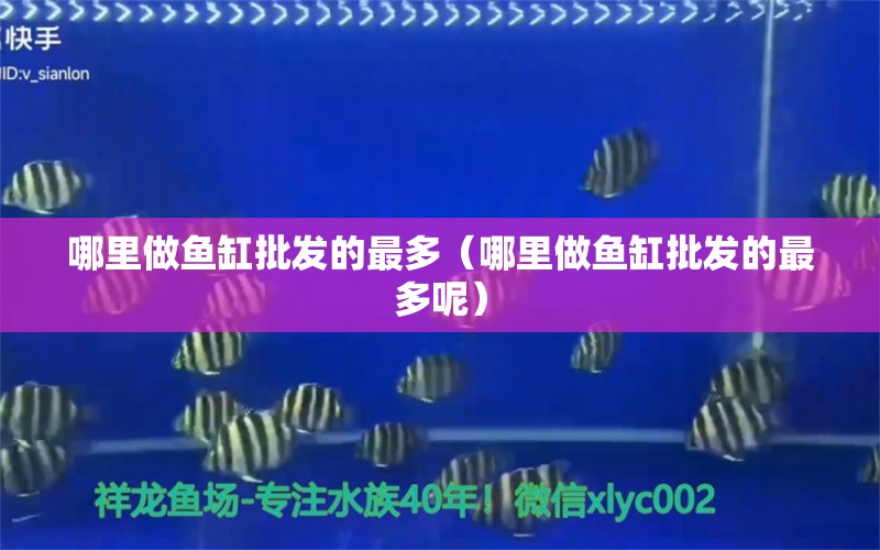 哪里做魚(yú)缸批發(fā)的最多（哪里做魚(yú)缸批發(fā)的最多呢） 觀賞魚(yú)市場(chǎng)（混養(yǎng)魚(yú)）