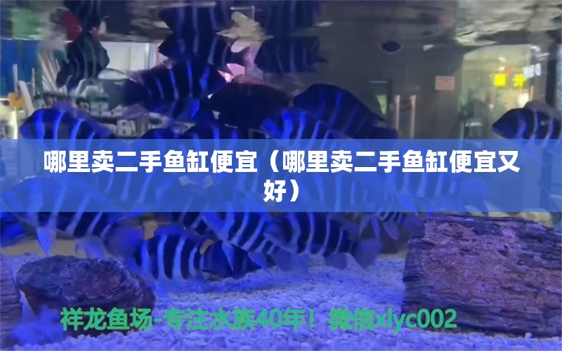 哪里賣(mài)二手魚(yú)缸便宜（哪里賣(mài)二手魚(yú)缸便宜又好）