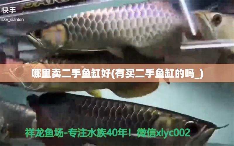 哪里賣二手魚缸好(有買二手魚缸的嗎_) 金龍福龍魚