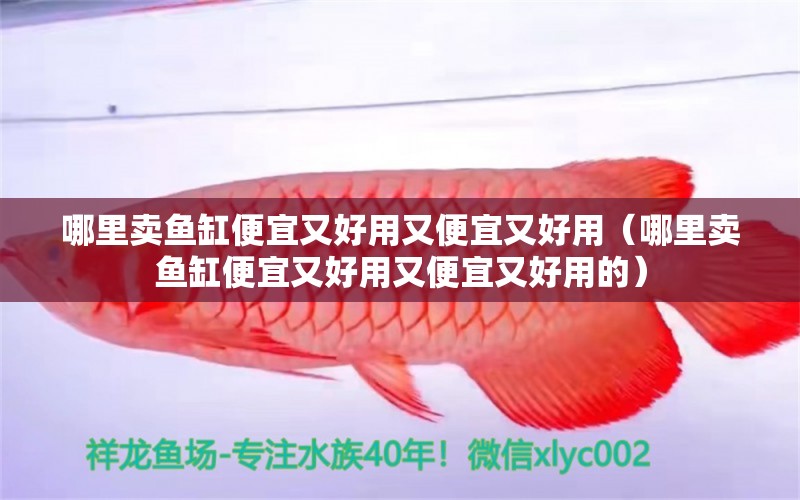 哪里賣魚缸便宜又好用又便宜又好用（哪里賣魚缸便宜又好用又便宜又好用的）