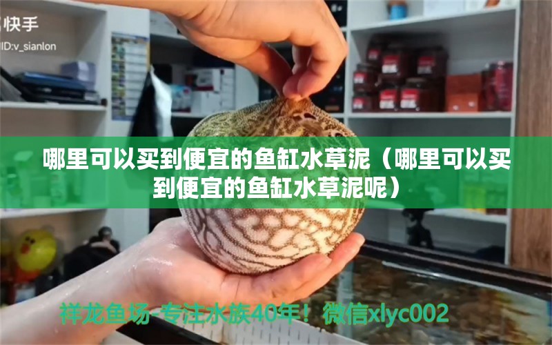 哪里可以買到便宜的魚缸水草泥（哪里可以買到便宜的魚缸水草泥呢） 水草