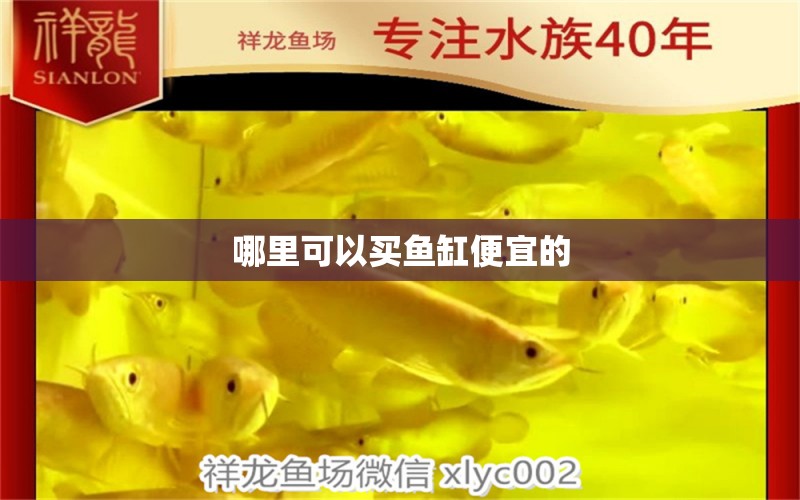 哪里可以買魚缸便宜的 水族問答 第1張