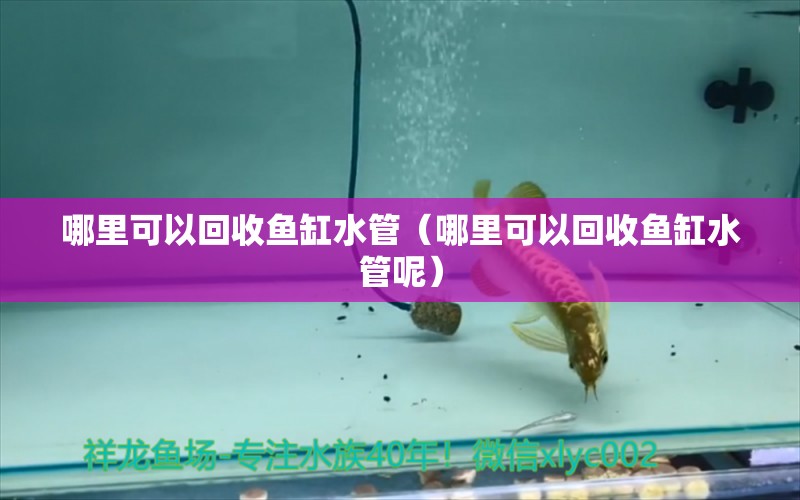 哪里可以回收魚缸水管（哪里可以回收魚缸水管呢）