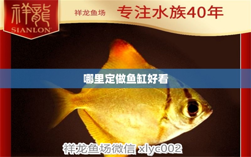 哪里定做魚缸好看