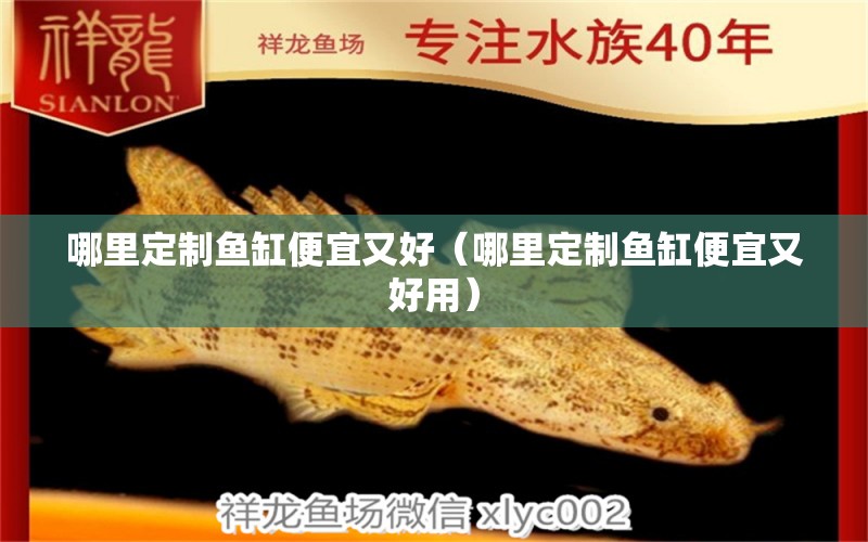 哪里定制魚缸便宜又好（哪里定制魚缸便宜又好用）