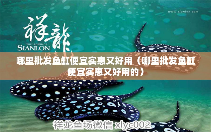 哪里批發(fā)魚缸便宜實惠又好用（哪里批發(fā)魚缸便宜實惠又好用的）