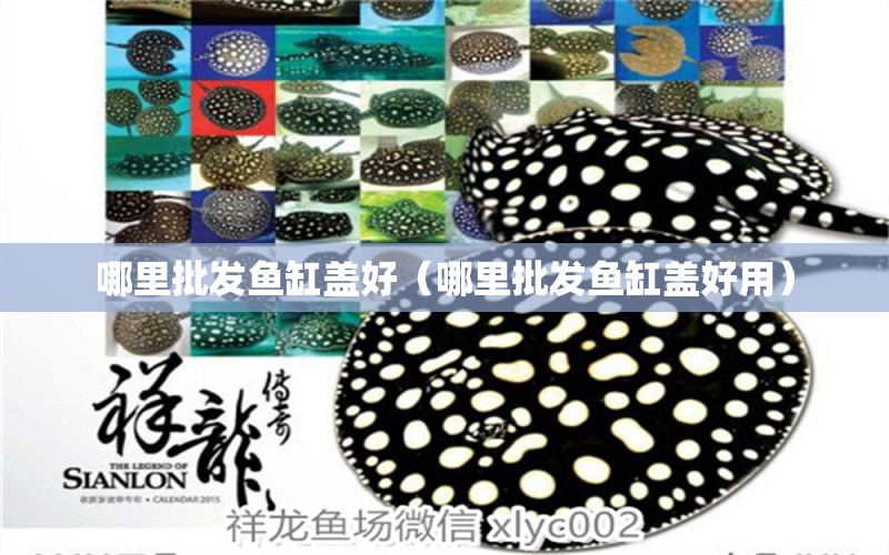 哪里批發(fā)魚缸蓋好（哪里批發(fā)魚缸蓋好用） 祥龍水族醫(yī)院