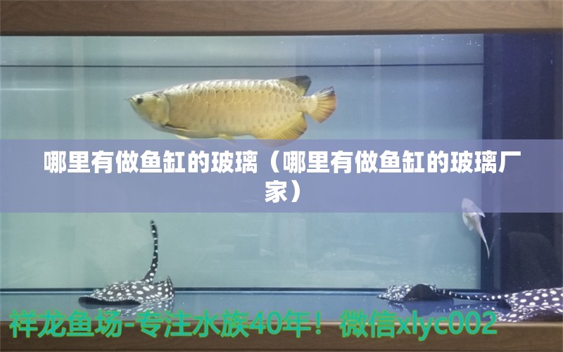 哪里有做魚缸的玻璃（哪里有做魚缸的玻璃廠家）