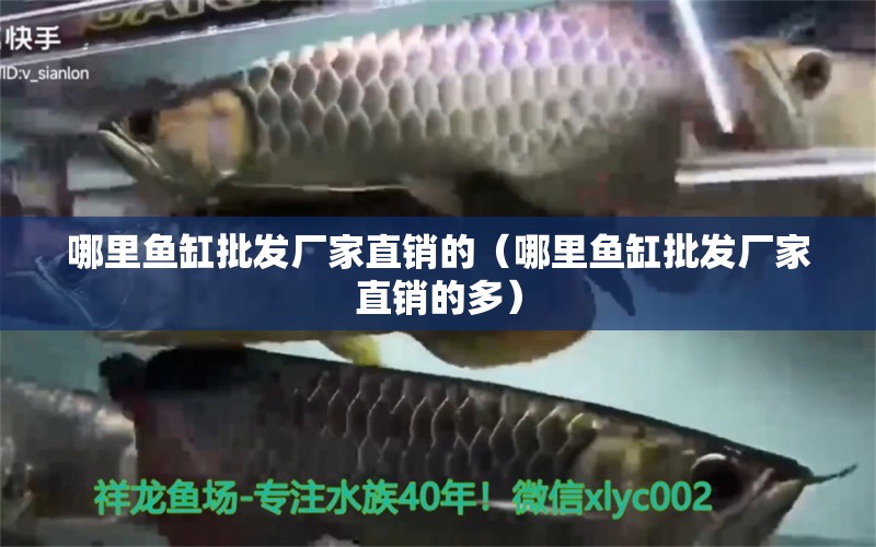 哪里魚缸批發(fā)廠家直銷的（哪里魚缸批發(fā)廠家直銷的多） 其他品牌魚缸