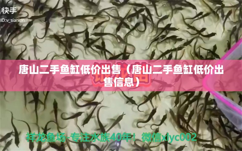 唐山二手魚缸低價出售（唐山二手魚缸低價出售信息） 祥龍水族醫(yī)院