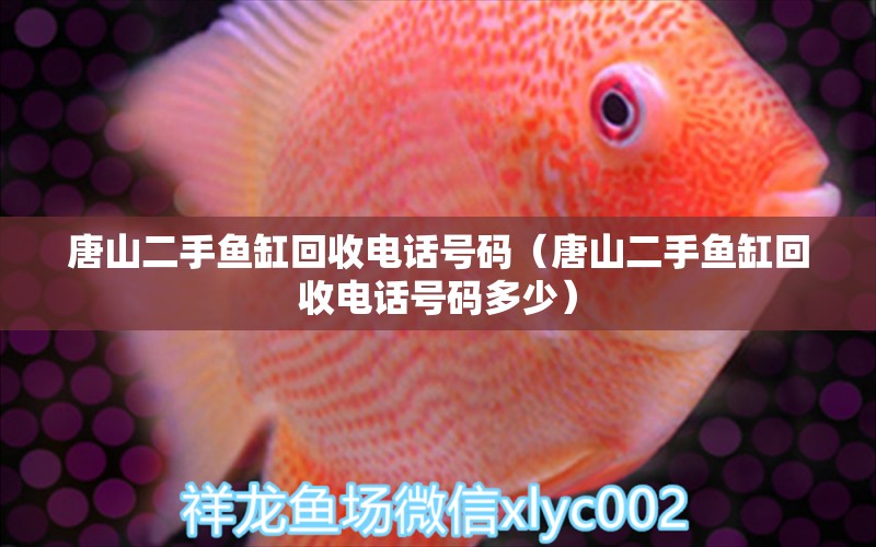 唐山二手魚缸回收電話號(hào)碼（唐山二手魚缸回收電話號(hào)碼多少） 七紋巨鯉魚