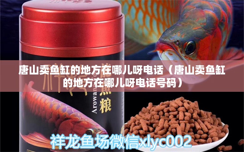 唐山賣魚缸的地方在哪兒呀電話（唐山賣魚缸的地方在哪兒呀電話號碼）