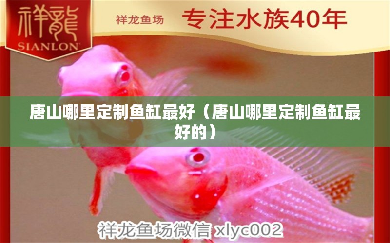 唐山哪里定制魚(yú)缸最好（唐山哪里定制魚(yú)缸最好的）