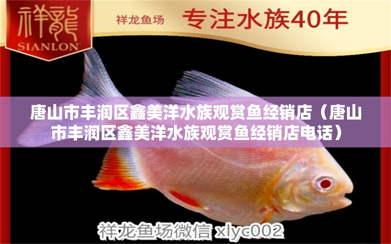 唐山市豐潤(rùn)區(qū)鑫美洋水族觀賞魚經(jīng)銷店（唐山市豐潤(rùn)區(qū)鑫美洋水族觀賞魚經(jīng)銷店電話） 全國水族館企業(yè)名錄