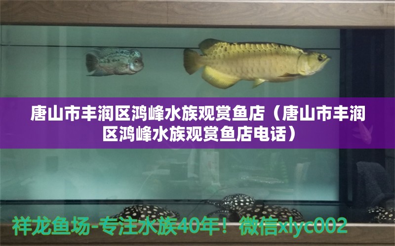 唐山市豐潤區(qū)鴻峰水族觀賞魚店（唐山市豐潤區(qū)鴻峰水族觀賞魚店電話）