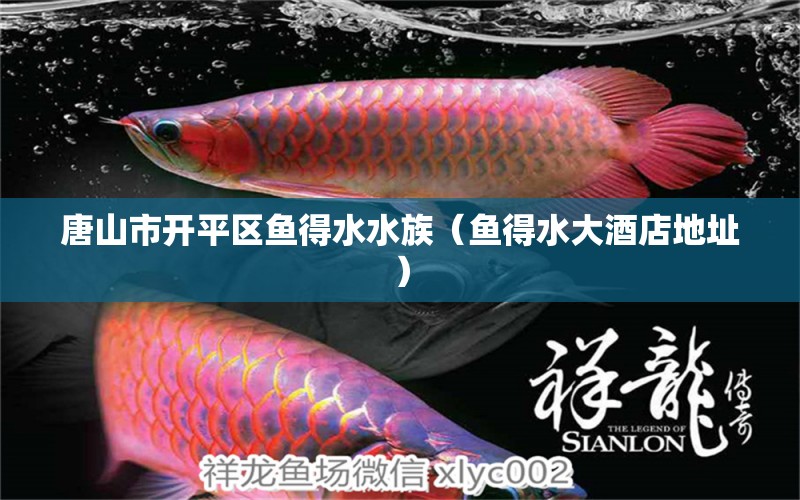 唐山市開平區(qū)魚得水水族（魚得水大酒店地址）