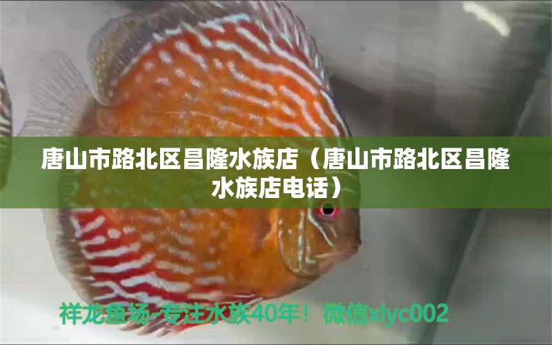 唐山市路北區(qū)昌隆水族店（唐山市路北區(qū)昌隆水族店電話） 全國水族館企業(yè)名錄