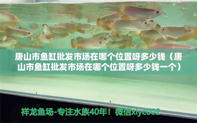 唐山市魚缸批發(fā)市場在哪個位置呀多少錢（唐山市魚缸批發(fā)市場在哪個位置呀多少錢一個）