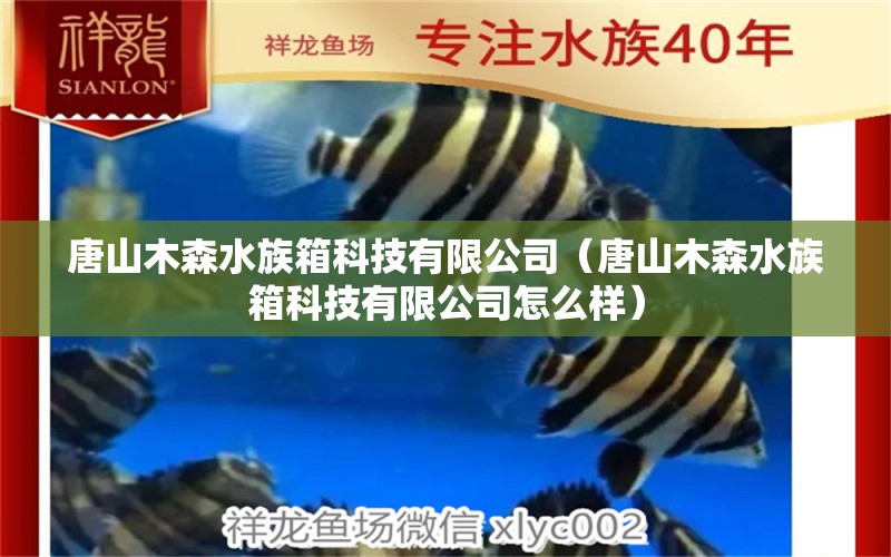 唐山木森水族箱科技有限公司（唐山木森水族箱科技有限公司怎么樣）