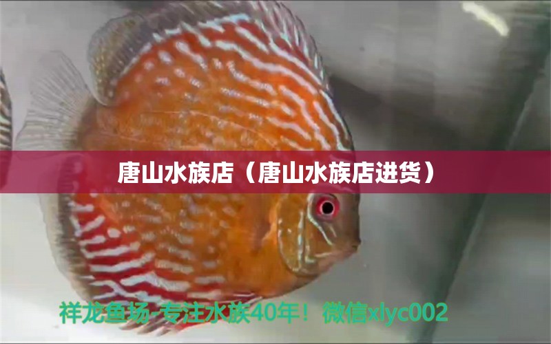 唐山水族店（唐山水族店進貨） 觀賞魚市場