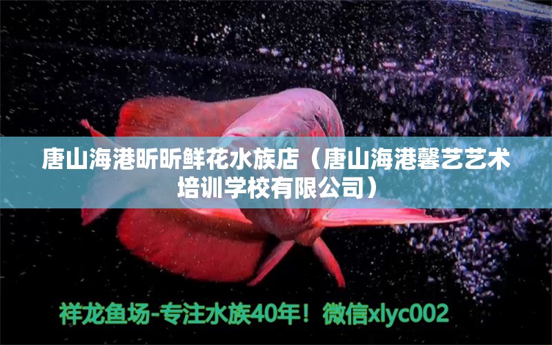 唐山海港昕昕鮮花水族店（唐山海港馨藝藝術(shù)培訓(xùn)學(xué)校有限公司） 全國(guó)水族館企業(yè)名錄