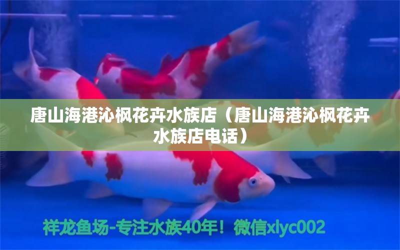 唐山海港沁楓花卉水族店（唐山海港沁楓花卉水族店電話） 全國(guó)水族館企業(yè)名錄