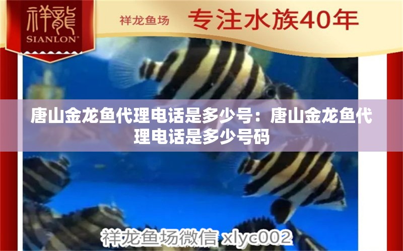 唐山金龍魚(yú)代理電話(huà)是多少號(hào)：唐山金龍魚(yú)代理電話(huà)是多少號(hào)碼